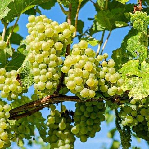 Wertheim Wohnungen, Wertheim Wohnung mieten