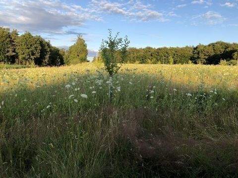 Essenbach Grundstücke, Essenbach Grundstück kaufen