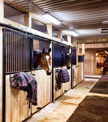 2: Luxuriöse Stallungen