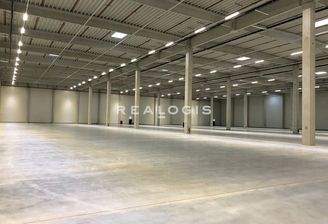 Beispielansicht Hallenfläche