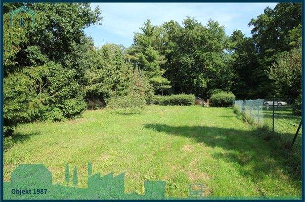 mögliche bebaubare Fläche mit Blick zur Straße