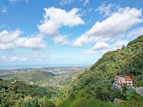 Camaiore Häuser, Camaiore Haus kaufen