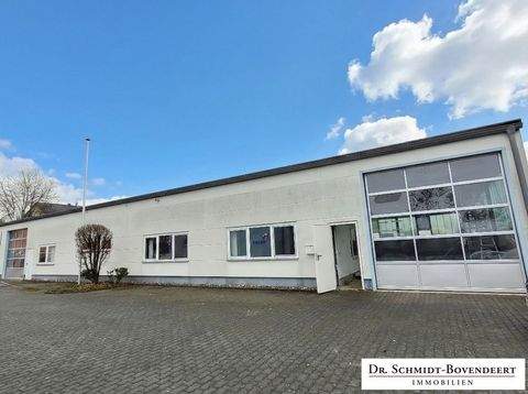 Bendorf Halle, Bendorf Hallenfläche