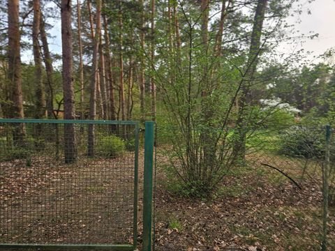 Gosen-Neu Zittau Grundstücke, Gosen-Neu Zittau Grundstück kaufen