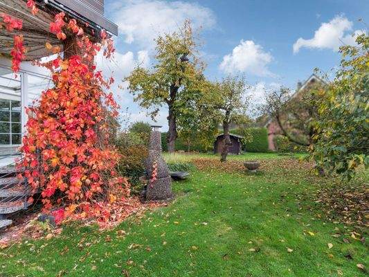 Garten bzw. Baugrundstück
