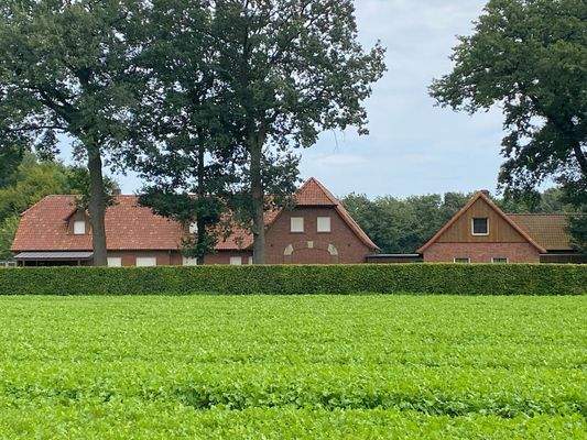 Einmalige junge Hofstelle 4 Gebäude