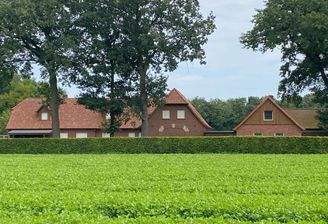 Einmalige junge Hofstelle 4 Gebäude