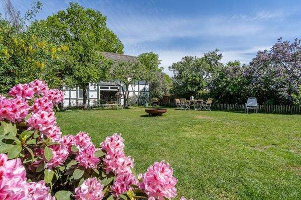 liebevoll angelegter Garten