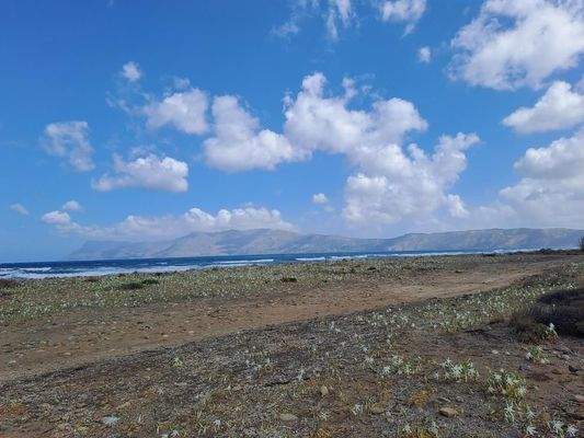 Kreta, Kissamos: Großes Grundstück direkt am Meer zu verkaufen