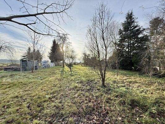 hintere Grundstücksansicht
