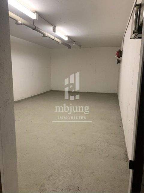 Bad Säckingen Halle, Bad Säckingen Hallenfläche