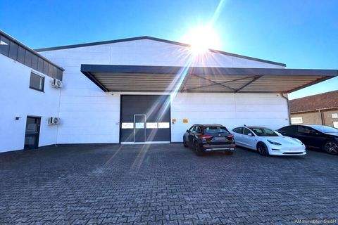 Villmar Halle, Villmar Hallenfläche