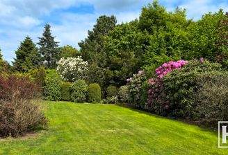Blick in den Garten