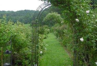 traumhafter Rosengarten