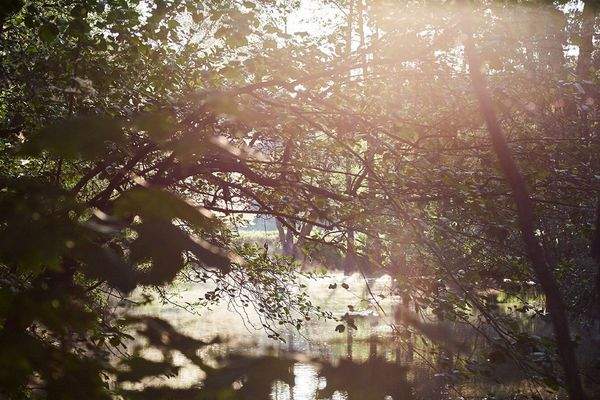 Natur pur - hier brauchen Sie keinen Garten! 