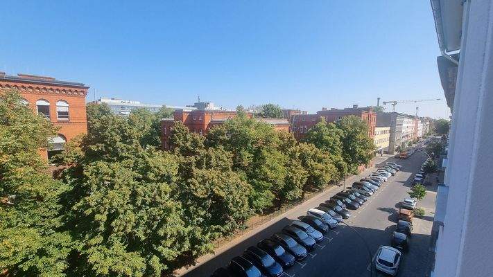 Ausblick in die Lynarstraße