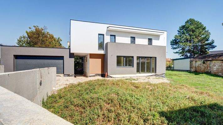 Frontansicht / Garten