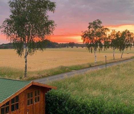 PHOTO-2025-11-05-12-31-15 (Copy)