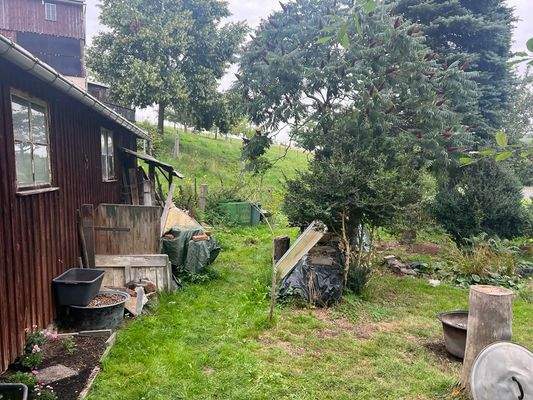 PHOTO-2023-11-02-17-12-42 6.jpg