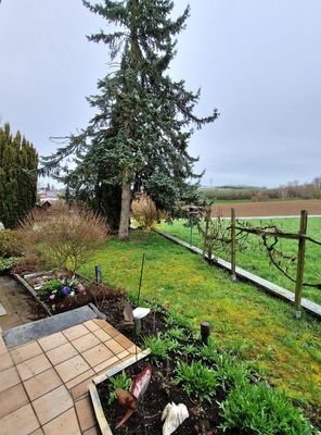 Blick von Terrasse zur Einfahrt.jpg