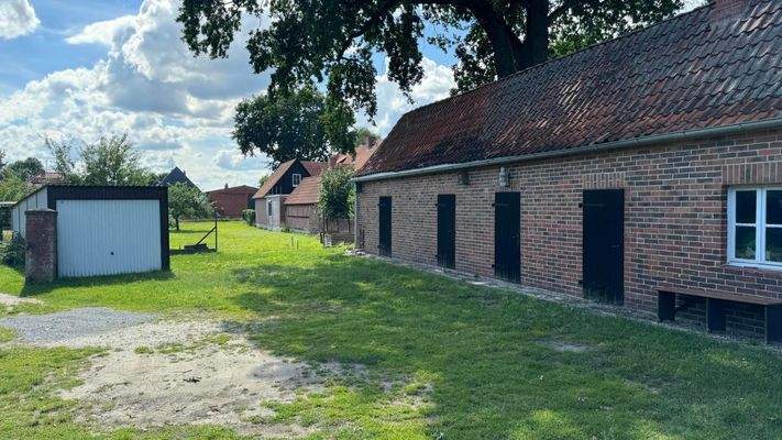 Blick vom Haus zum Garten