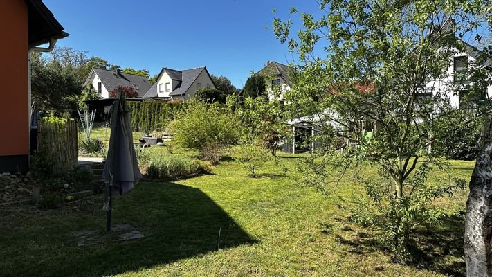 Blick in den Garten.jpg