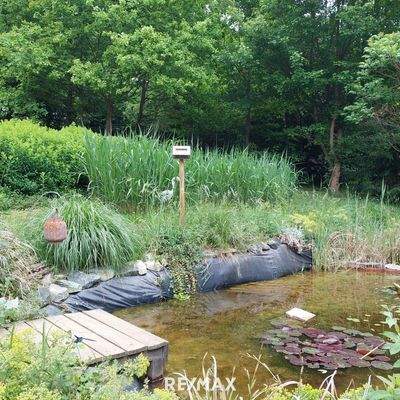 Teich