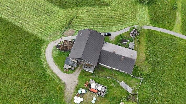 Hof_Antholz_Wald_Alpenwiese_ruhig_Natur_Dolomiten_Südtirol