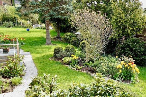 Gartenimpressionen Sommer (3)