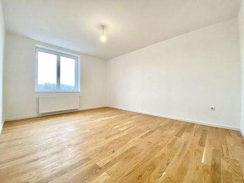 Stockerau Wohnungen, Stockerau Wohnung mieten