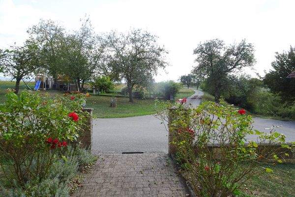 Elakfoto-158.jpg