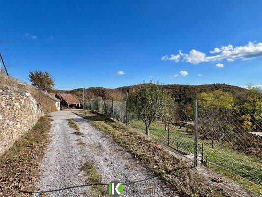 Wandern vor der Haustür