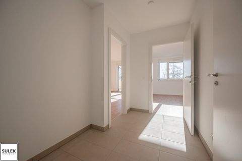 Eisenstadt Wohnungen, Eisenstadt Wohnung mieten