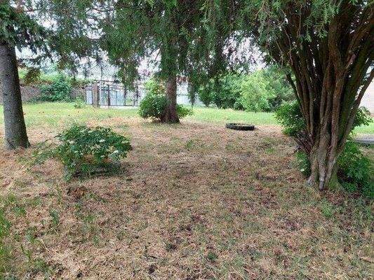 hinterer Grundstücksteil/Baugrundstück (2)