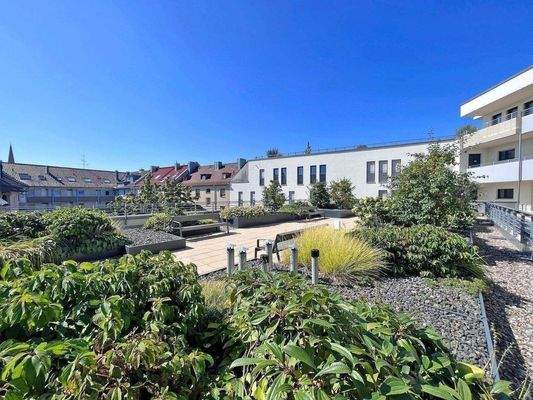 Dachgarten für Alle!