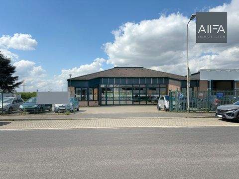 Jülich Halle, Jülich Hallenfläche