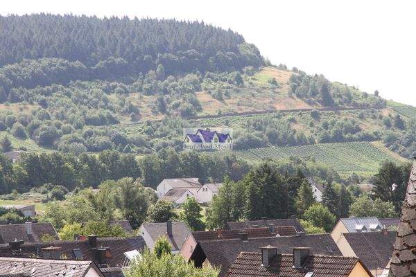 25 Blick in die Weinberge.jpg