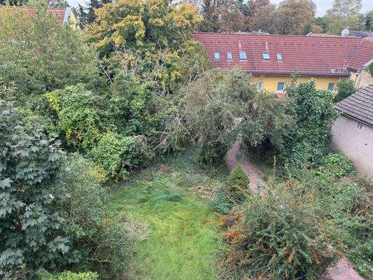 Blick in den Garten (1)
