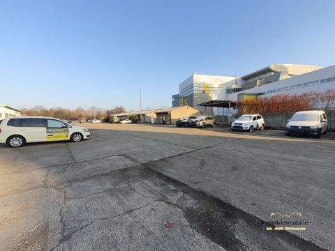 Bitterfeld-Wolfen Halle, Bitterfeld-Wolfen Hallenfläche