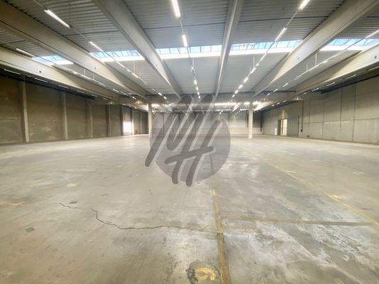 INFOS UNTER: 06171-586000