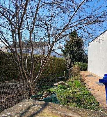 Gartenstreifen Ostseite.jpg.jpg