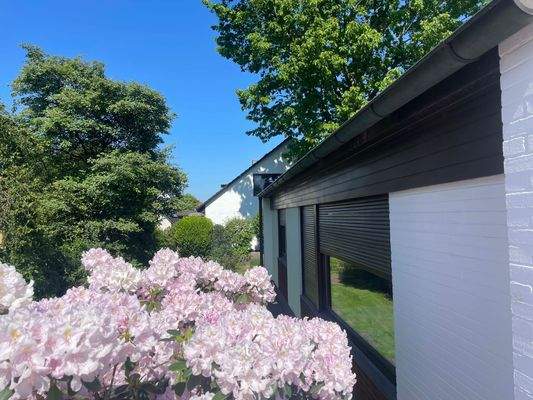 Wunderschöne Blütenpracht