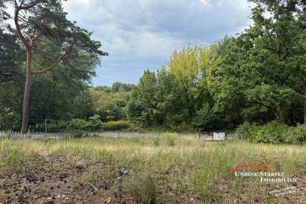 Einziges freies Grundstück mit Blick übers Naturschutzgebiet