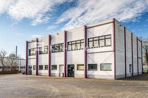 Meckenheim Halle, Meckenheim Hallenfläche