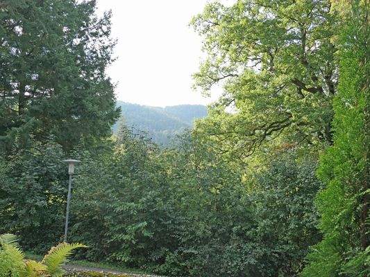 ... und Ausblick ins Grüne