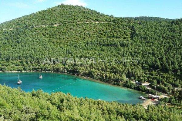 Nature-View Villas for Sale with Pool in Bodrum Adabuku