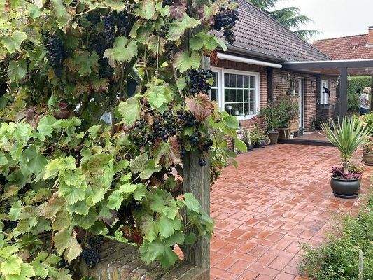 Hinteransicht mit Terrasse