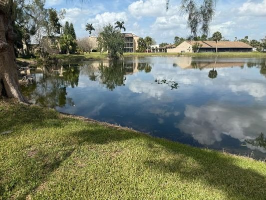 Florida 2.jpg
