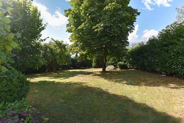 grüne Oase mit Baumbestand - ruhig und uneinsehbar 