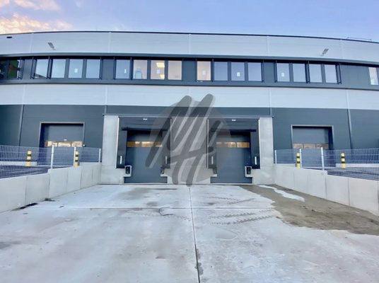 INFOS UNTER: 06171-586000